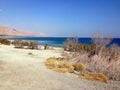 Dead Sea Beach on a Sunny Day Royalty Free Stock Photo