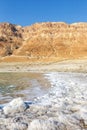 Dead Sea Israel landscape nature portrait format Royalty Free Stock Photo