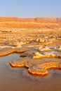 Dead Sea Israel salt islands sunrise morning portrait format landscape nature Royalty Free Stock Photo