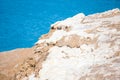 Dead sea, Jordan. Beautiful beach with salt deposits Royalty Free Stock Photo