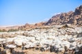 Dead sea, Jordan. Beautiful beach with salt deposits Royalty Free Stock Photo