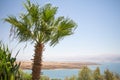 Dead sea Kalia beach Israel Royalty Free Stock Photo