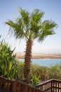 Dead sea Kalia beach Israel Royalty Free Stock Photo