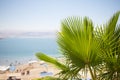 Dead sea Kalia beach Israel Royalty Free Stock Photo