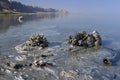 Dead Sea Landscape and Mud Minerals Royalty Free Stock Photo