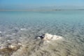 Dead Sea in the morning in sunny weather Royalty Free Stock Photo