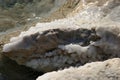 Crystallized salt rocks along the shores of the Dead Sea, Israel Royalty Free Stock Photo