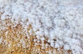 Dead Sea salt Royalty Free Stock Photo