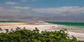 Sea with salt-covered shore, mountains in the background and green vegetation in the foreground