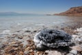 Dead Sea - Salt formation Royalty Free Stock Photo