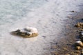 Dead Sea salt formation Royalty Free Stock Photo