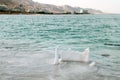 Dead Sea, is a salt lake bordering Jordan to the north, and Israel to the west. Its surface and shores are 430.5 metres 1,412 ft Royalty Free Stock Photo