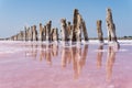 Dead sea salt plains with wooden pillars submerged in salty water colored with pink algae