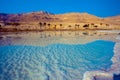 Dead Sea salty shore. View from the sea side