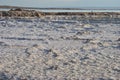 Dead Sea shore. Minerals and salt. Salt crystals at dawn. Royalty Free Stock Photo