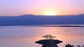 Dead sea Royalty Free Stock Photo