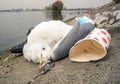 A dead seagull or bird at the edge of the water surrounded by trash waste. Plastic pollution concept