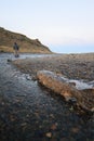 Dead seatrout on the beach