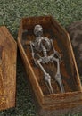 Dead Skeleton in Coffin