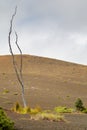 Devastation Trail Royalty Free Stock Photo