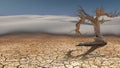 Dead Tree in Desert Royalty Free Stock Photo