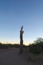 Dead tree in the desert at dusk Royalty Free Stock Photo