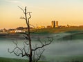 Dead tree frames WVU organic farm at Morgantown