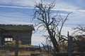 The dead tree in front of the old home Royalty Free Stock Photo