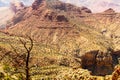 Dead Tree in Grand Canyon Royalty Free Stock Photo