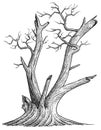 Dead tree illustration, drawing, engraving, ink, line art, vector Royalty Free Stock Photo