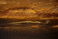 Rio Tinto, dead tree inside the Tinto riverbed, Spain, Andalusia, Huelva Royalty Free Stock Photo