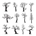 Dead tree without leaves, collection of trees silhouettes Royalty Free Stock Photo