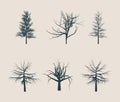 Dead Tree without Leaves silhouettes Royalty Free Stock Photo