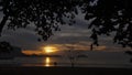 A dead tree without leaves and a sunset and two people on the beach. Royalty Free Stock Photo