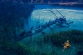 Dead tree lies in the lake