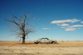 a dead tree in the middle of the desert Royalty Free Stock Photo