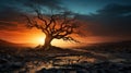 a dead tree in the middle of a desert at sunset Royalty Free Stock Photo