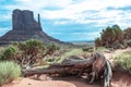 Dead tree in Monument Valley, Arizona, Utah Royalty Free Stock Photo