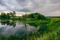 Dead Tree on Pond Shore with Reflection on Water. Royalty Free Stock Photo