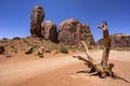 Dead tree and rock formation in Monument Valley, USA Royalty Free Stock Photo