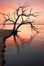 A dead tree on the shore of a lake at sunset, AI Royalty Free Stock Photo