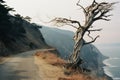 a dead tree on the side of the road near the ocean