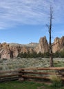 Dead Tree Silhouette in Front of Smith Rock State Park Formations Royalty Free Stock Photo