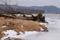 Dead tree trunk on the shore of a frozen lake in winter Royalty Free Stock Photo
