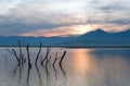 Dead tree trunks and branches poking out of drought stricken Lake Isabella at sunrise in the Sierra Nevada mountains in Central Ca