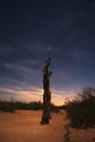 Dead tree under a starry sky on the desert sands. Royalty Free Stock Photo
