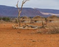 Dead tree at a waterhole, background thatched roof house at the Namib Naukluft National Park Royalty Free Stock Photo