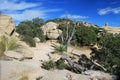 Dead Tree on Windy Point Vista on Mt. Lemmon