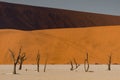 Dead trees against sand dunes in Deadvlei, Sossusvlei, Namibia Royalty Free Stock Photo