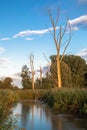 Dead trees on the bank of Paar river Royalty Free Stock Photo